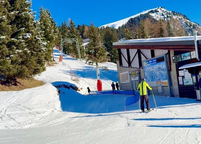 71 18 Les Lutins Alpe Des Chaux 4 People * Gryon