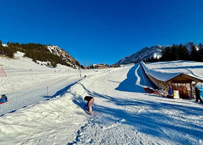 71 18 Les Lutins Alpe Des Chaux 4 People Gryon