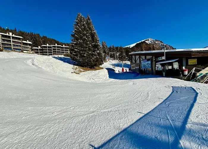 71 18 Les Lutins Alpe Des Chaux 4 People Appartamento Gryon