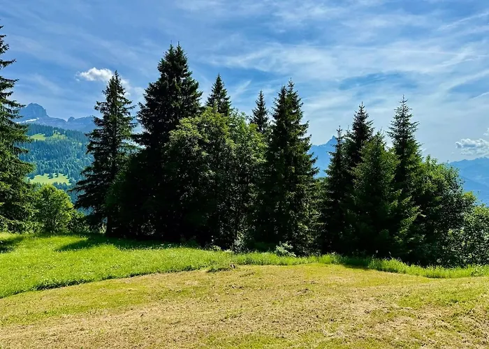 71 18 Les Lutins Alpe Des Chaux 4 People