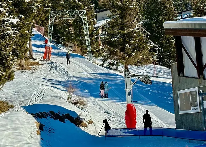 71 18 Les Lutins Alpe Des Chaux 4 People דירה